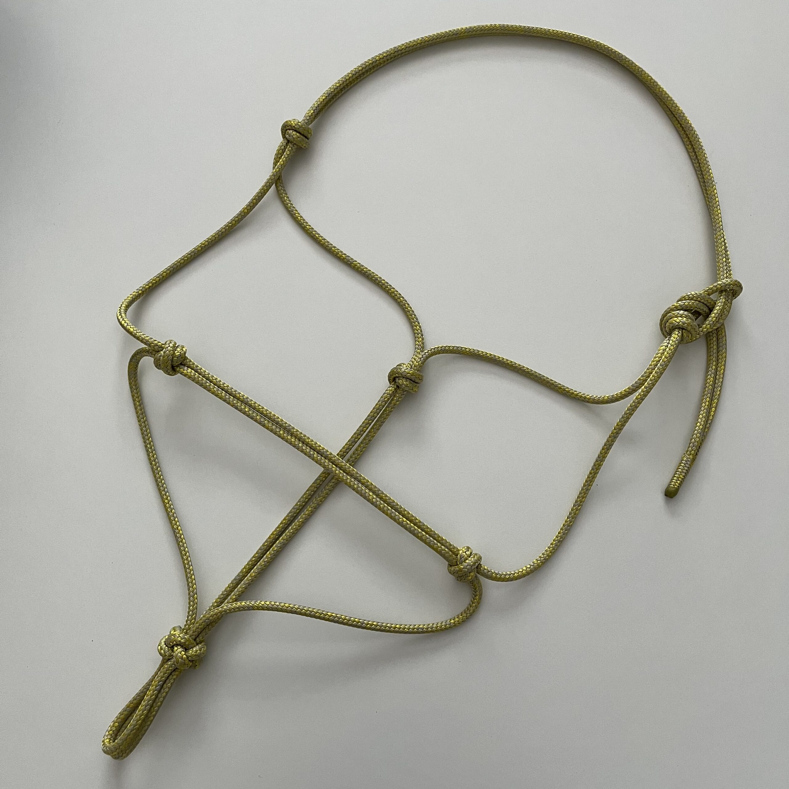 Halter Premium - obrazek 5