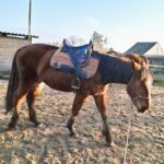 Dopasowanie sprzętu – kolor czy rozmiar