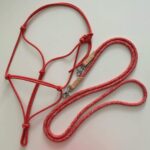 Nowa seria produktów – Seria PRO!